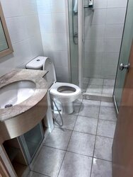 Hillview Regency (D23), Condominium #502140551